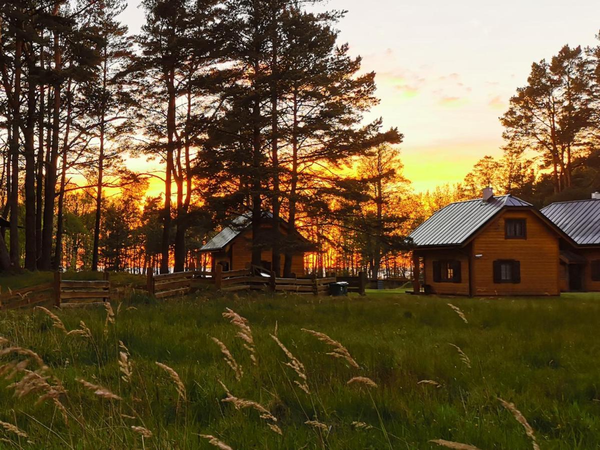 Vila Vejciems Liepene Exteriér fotografie