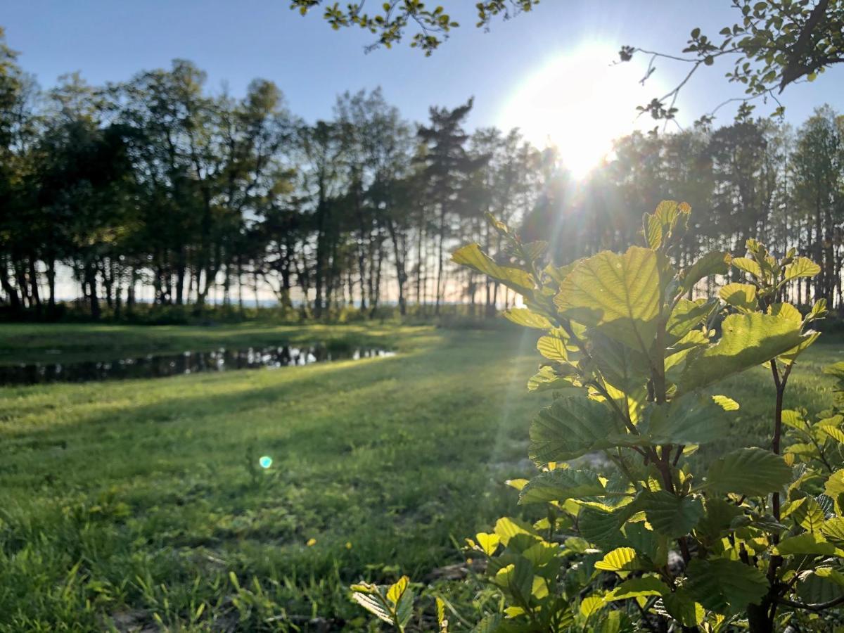 Vila Vejciems Liepene Exteriér fotografie