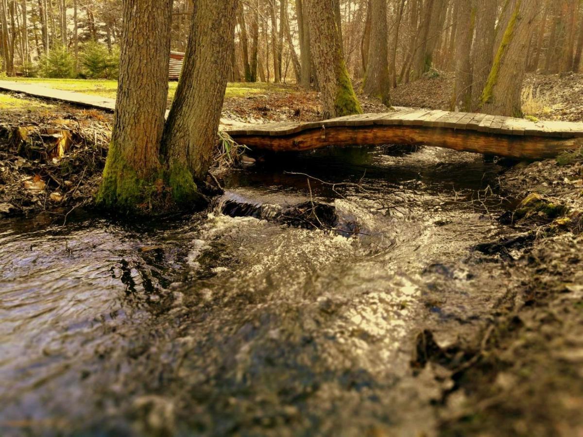 Vila Vejciems Liepene Exteriér fotografie